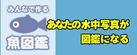 みんなで作る魚図鑑