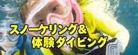 スノーケリング&体験ダイビング